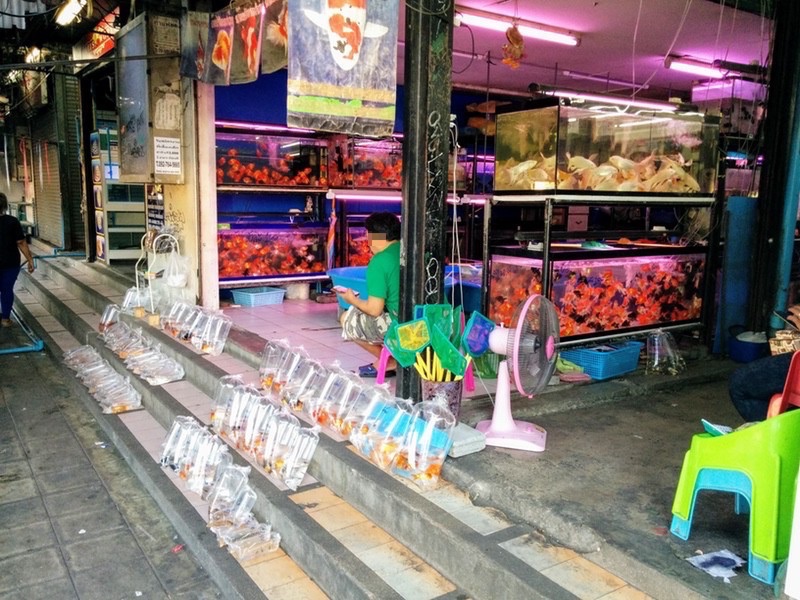 08チャトチャックマーケット