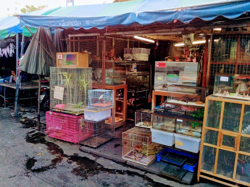 03チャトチャックマーケット