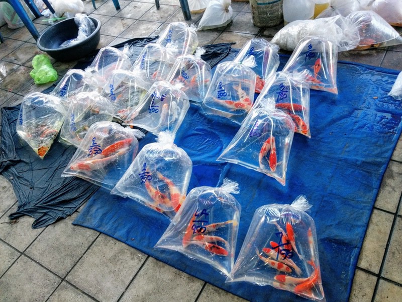 12チャトチャックマーケット