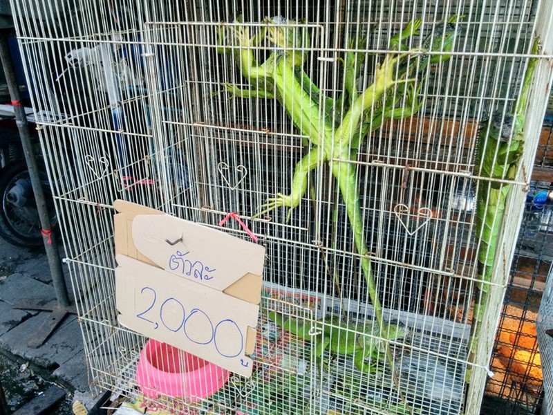 04チャトチャックマーケット