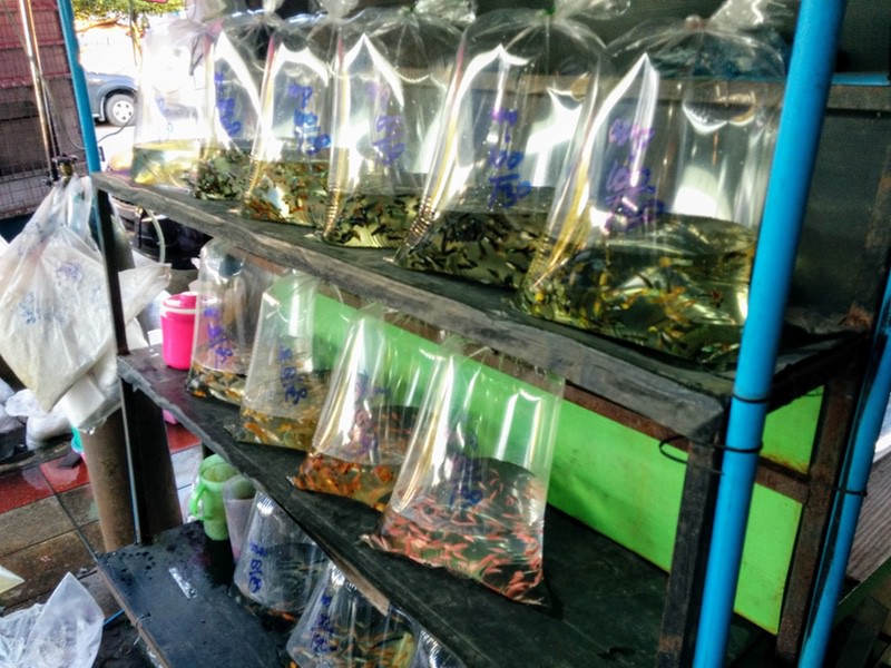 14何でも袋で売っている6.jpg 14何でも袋で売っている6