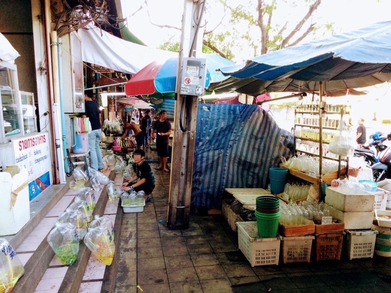 09チャトチャックマーケット