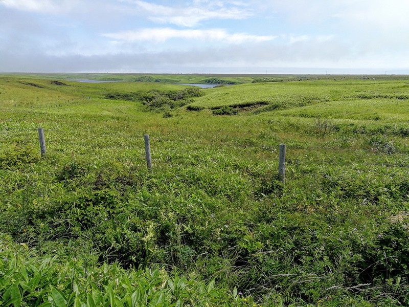 根室半島根室湾側01