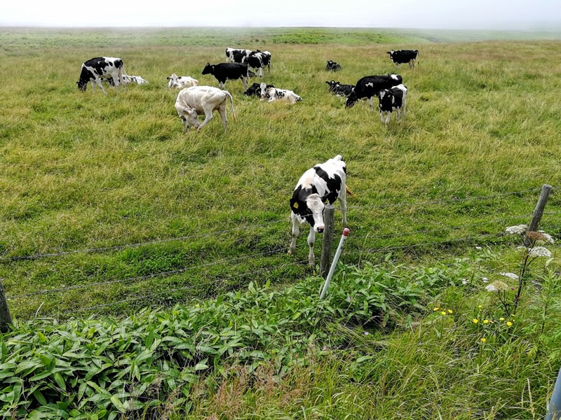 根室半島根室湾側02