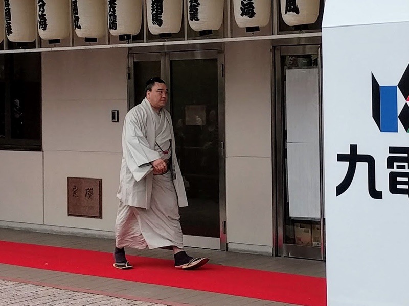 会場入り2016 29日馬富士