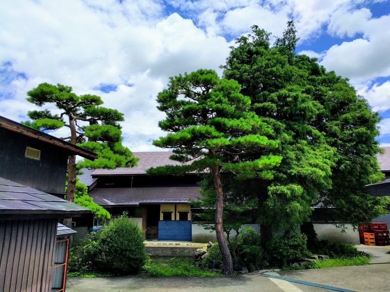 峰の雪酒造2.jpg 峰の雪酒造2
