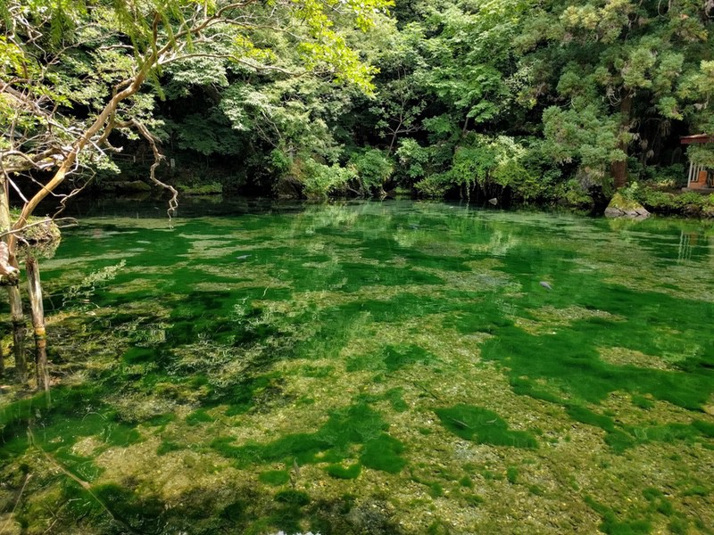14出流原弁天池