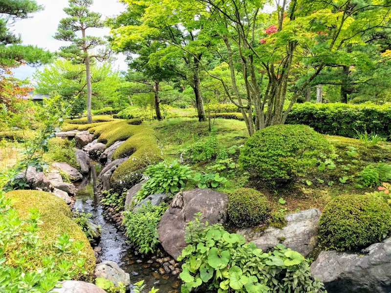 20山ゾーン.jpg 20山ゾーン