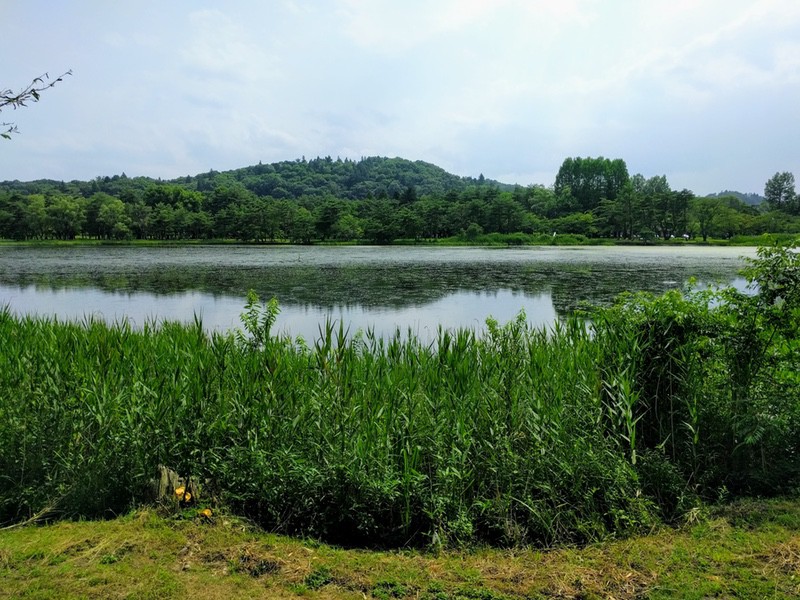 02南湖.jpg 02南湖