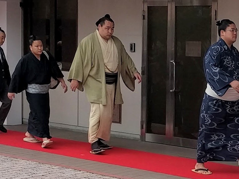 会場入り2016 26鶴竜