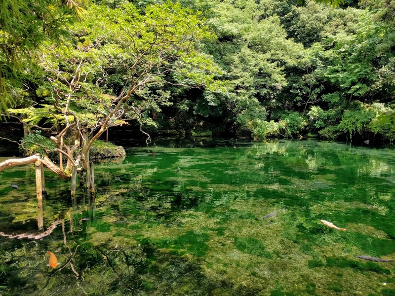 17出流原弁天池