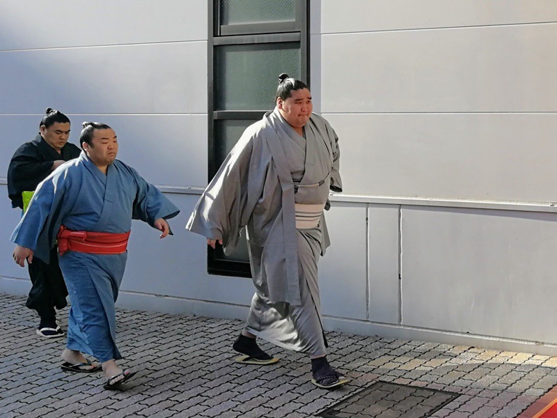 会場入り2017-29照ノ富士.jpg 会場入り2017 29照ノ富士