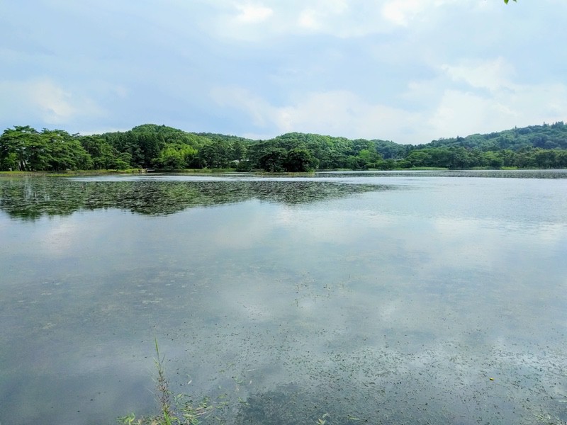 23南湖.jpg 23南湖