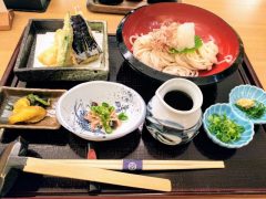 稲庭うどん！寛文五年堂 秋田店｜秋田県秋田市｜天ざるうどん