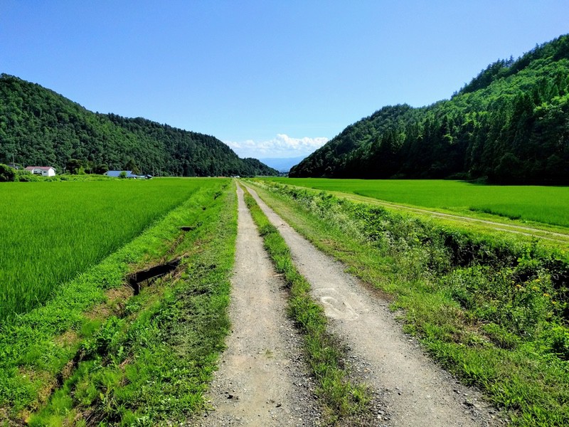 SYK田園風景2