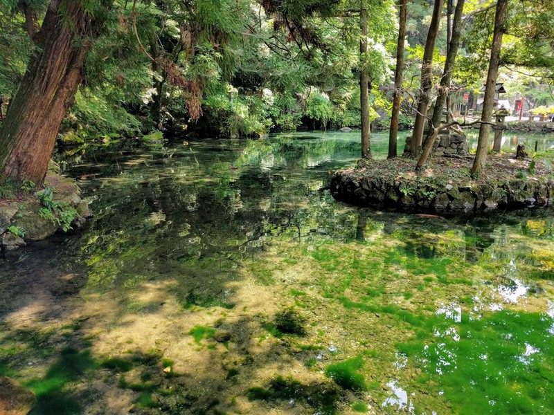 22出流原弁天池