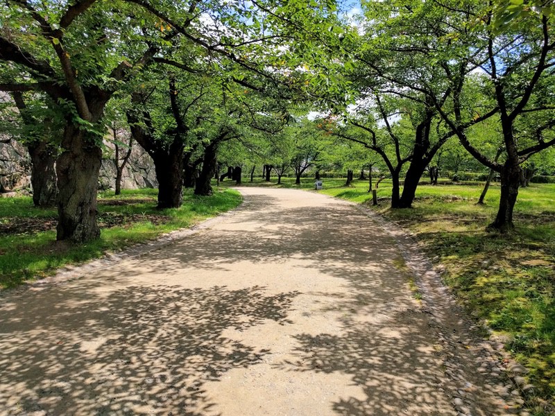 21腰曲輪.jpg 21腰曲輪