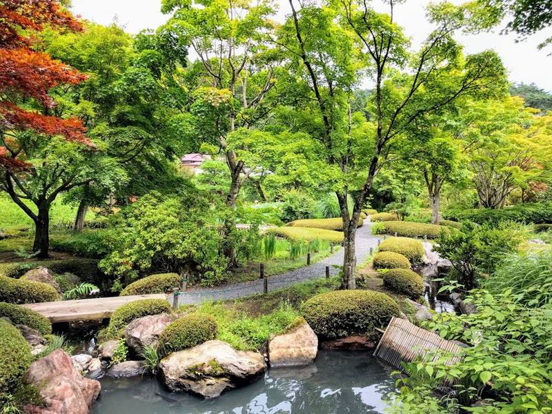 16山ゾーン.jpg 16山ゾーン