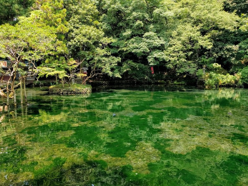 16出流原弁天池