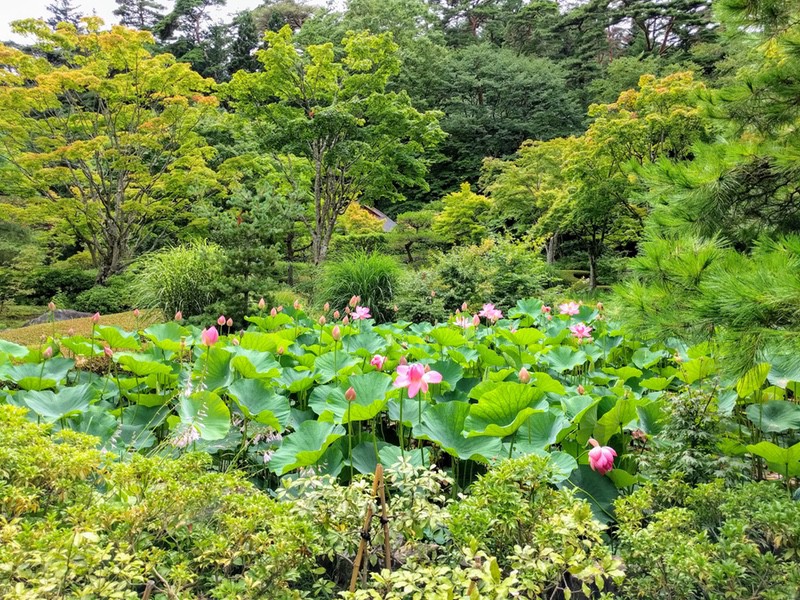 19山ゾーン.jpg 19山ゾーン