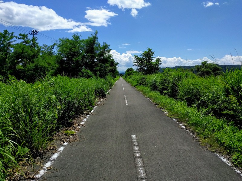 サイクリングロード.jpg サイクリングロード