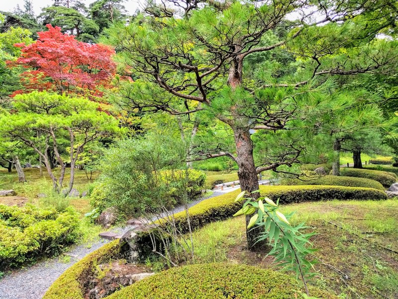 24山ゾーン.jpg 24山ゾーン