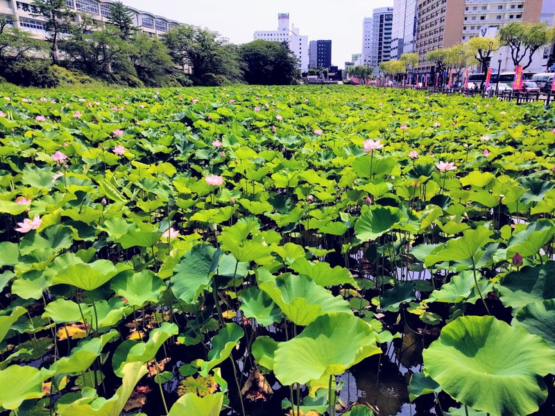 02大手門の堀