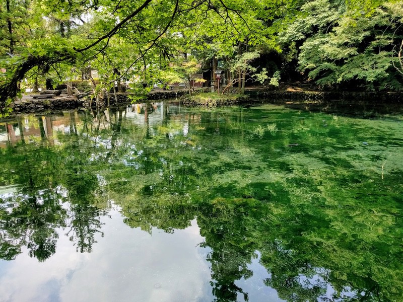 10出流原弁天池