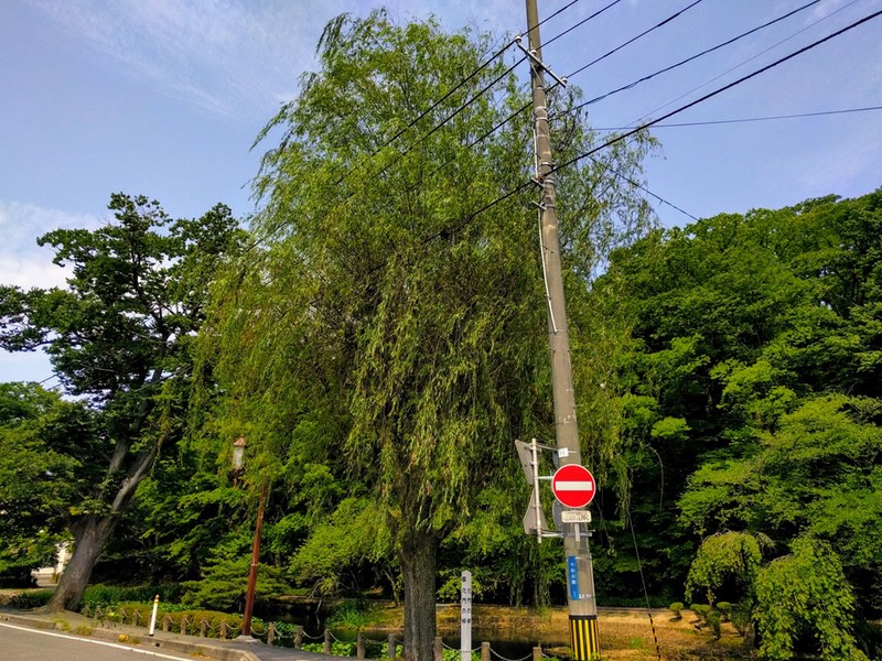 05穴門の柳