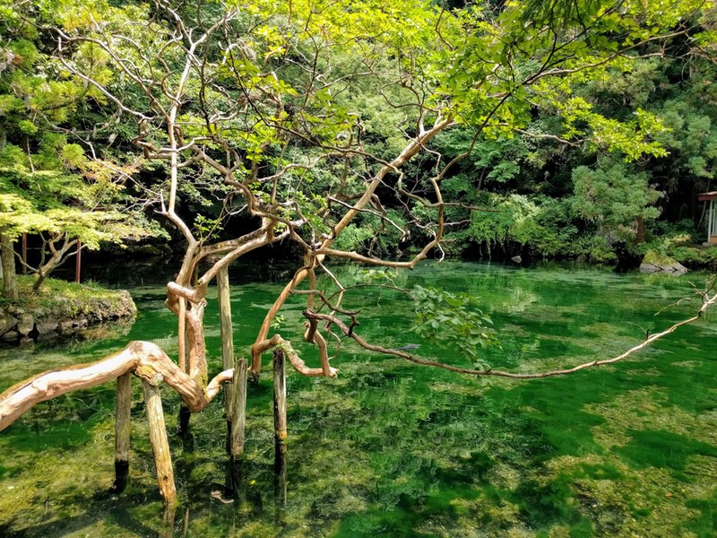 18出流原弁天池
