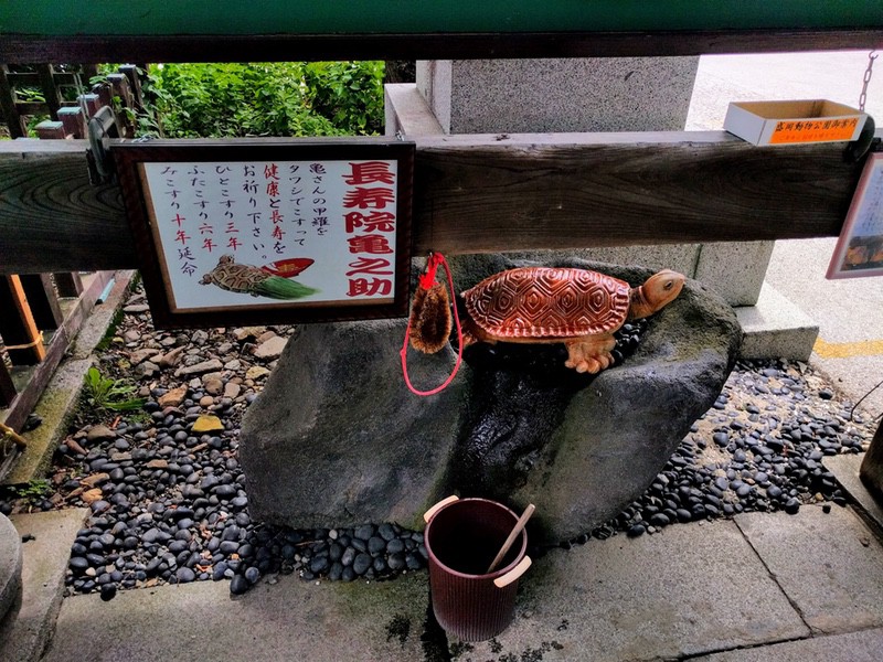 05長寿院亀之助.jpg 05長寿院亀之助