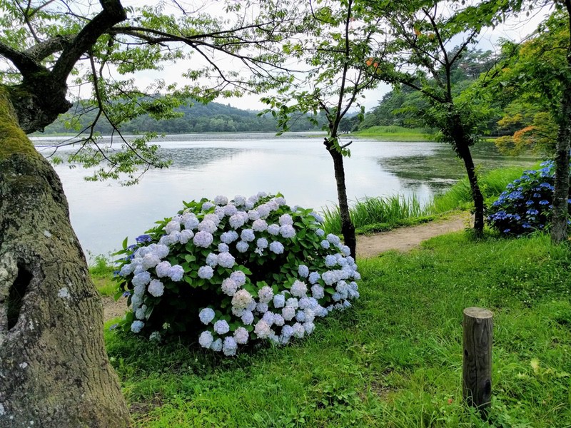 24南湖.jpg 24南湖