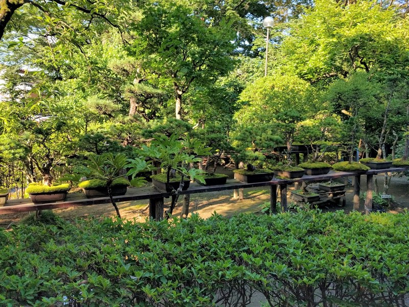 06植木.jpg 06植木