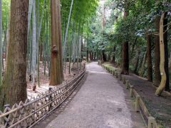 日本三名園のひとつ！偕楽園｜茨城県水戸市