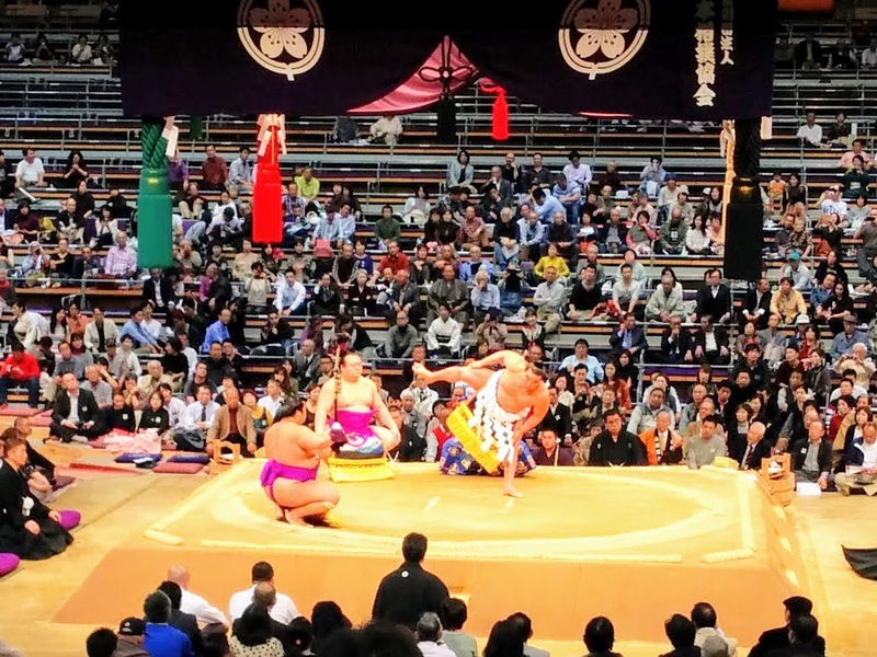 土俵入り横綱 日馬富士3