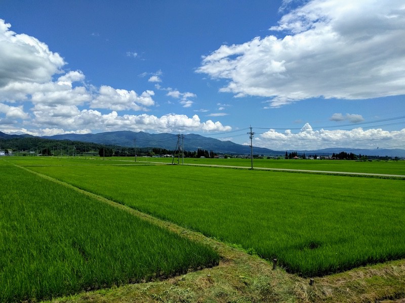 田園風景.jpg 田園風景