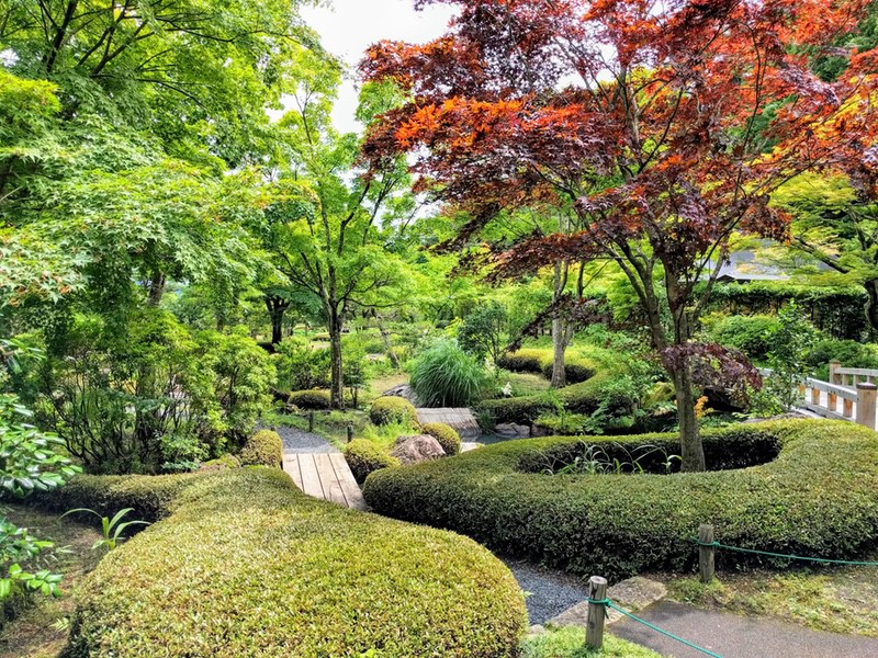 17山ゾーン.jpg 17山ゾーン