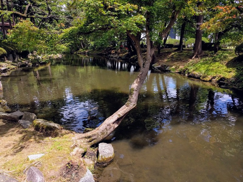 35鶴ヶ池.jpg 35鶴ヶ池
