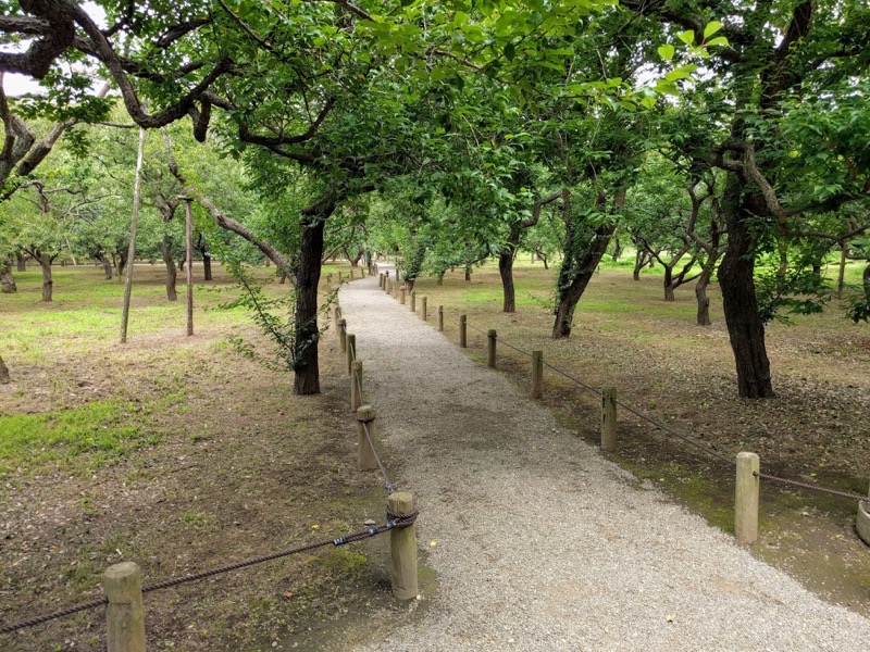 68偕楽園東西梅林