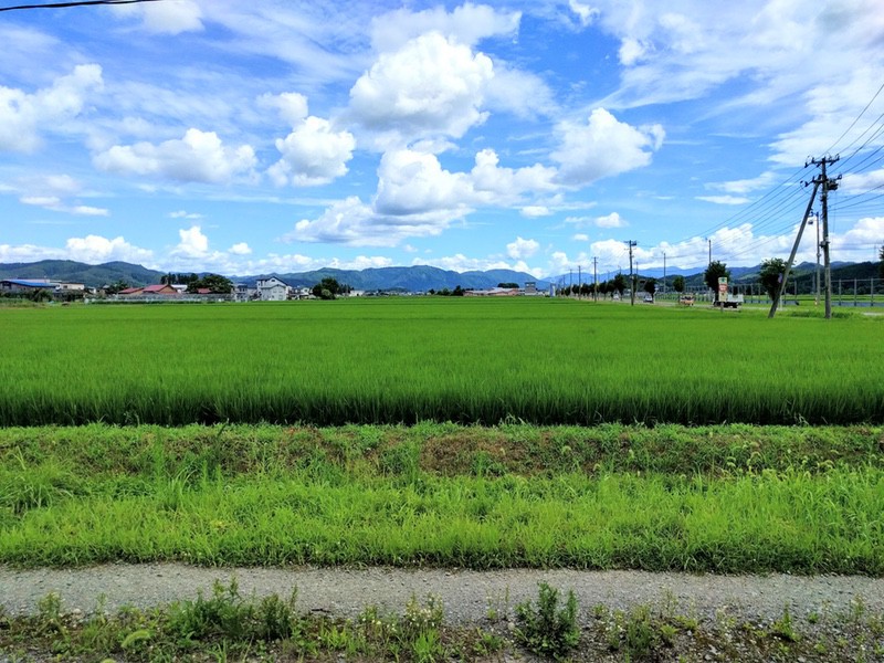 田園風景2