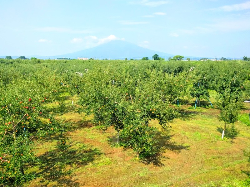 12岩木山.jpg 12岩木山