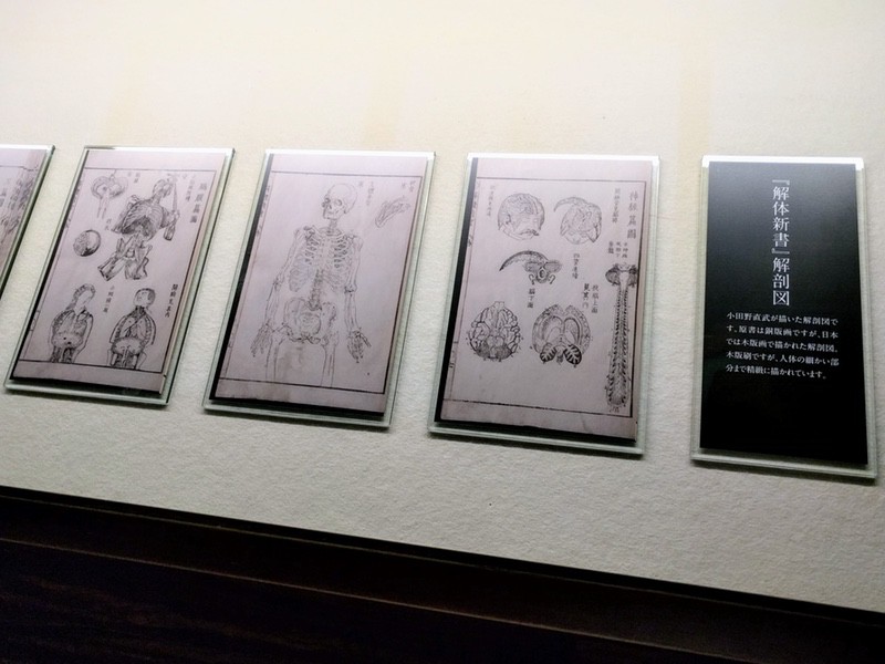 13解体新書記念館.jpg 13解体新書記念館