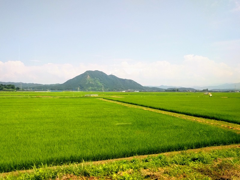 41田園風景.jpg 41田園風景