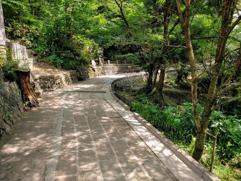 08山頂へ.jpg 08山頂へ