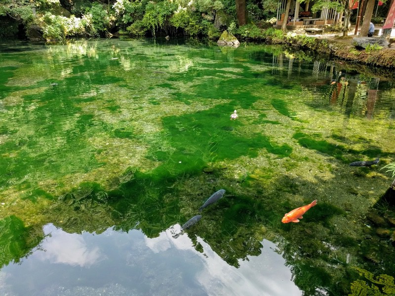 13出流原弁天池