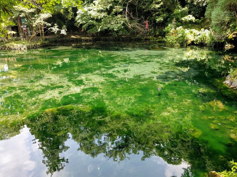 08出流原弁天池