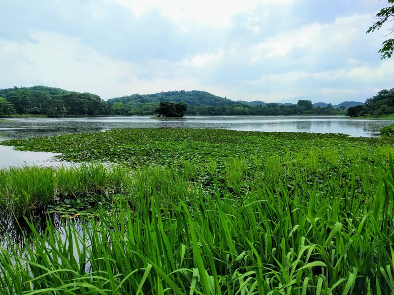 25南湖.jpg 25南湖