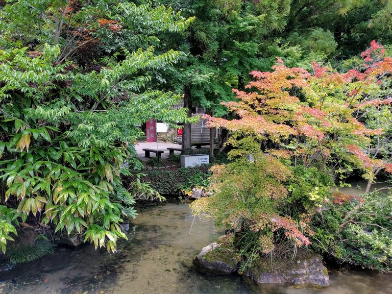 06出流原弁天池