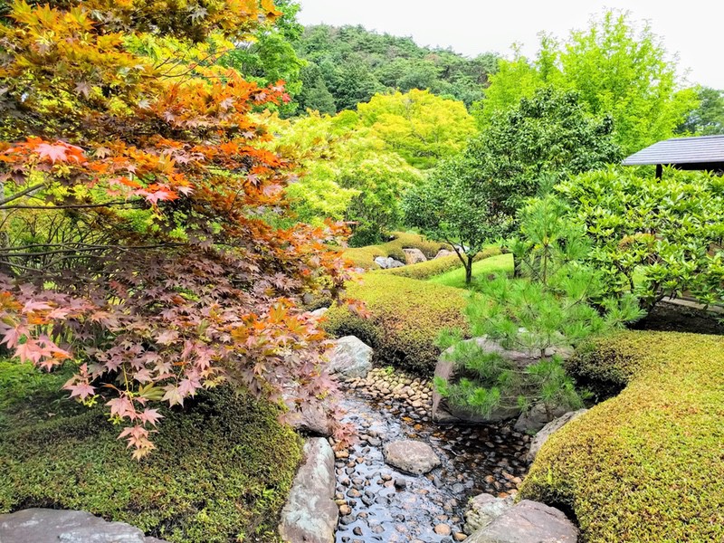 25山ゾーン.jpg 25山ゾーン