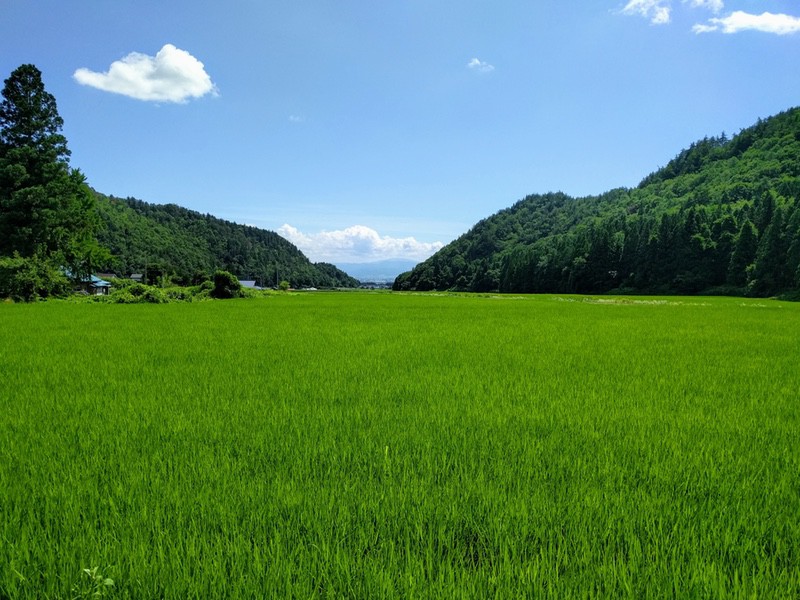 SYK田園風景1